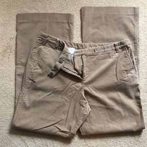 Ann Taylor LOFT (Petites)